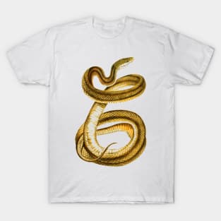 serpent,cobra,reptile,viper,venom,lizard,rattlesnake,king cobra,dragon,hydra,poison,venomous,plumber's snake,pythonidae,pythons,auger,python,squamata,serpentine,worm,big,ophidian,rattlesnakes,medusa,snakebite T-Shirt